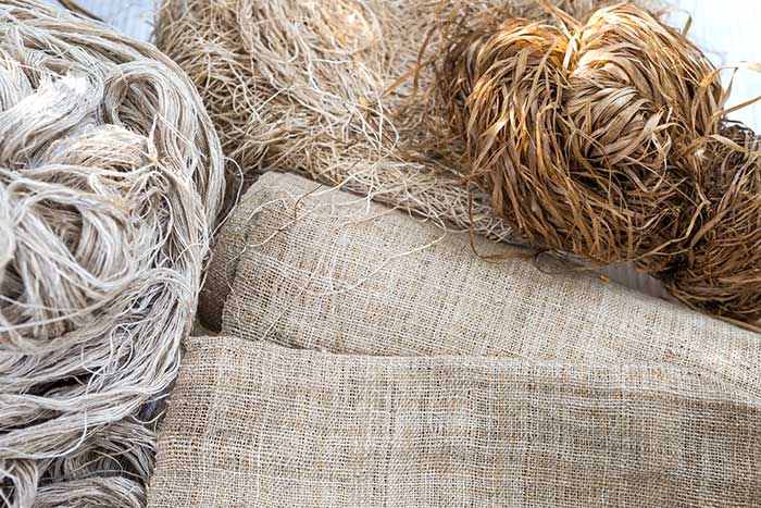History of Hemp in America