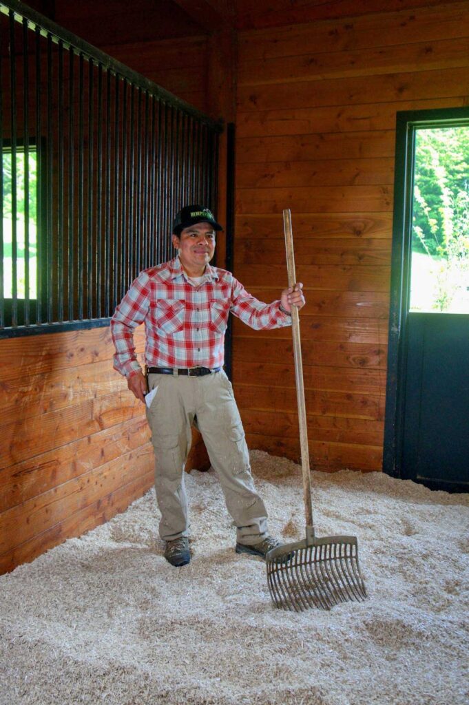 Hemo Horse bedding Being spread masterfully at a stable in NY State